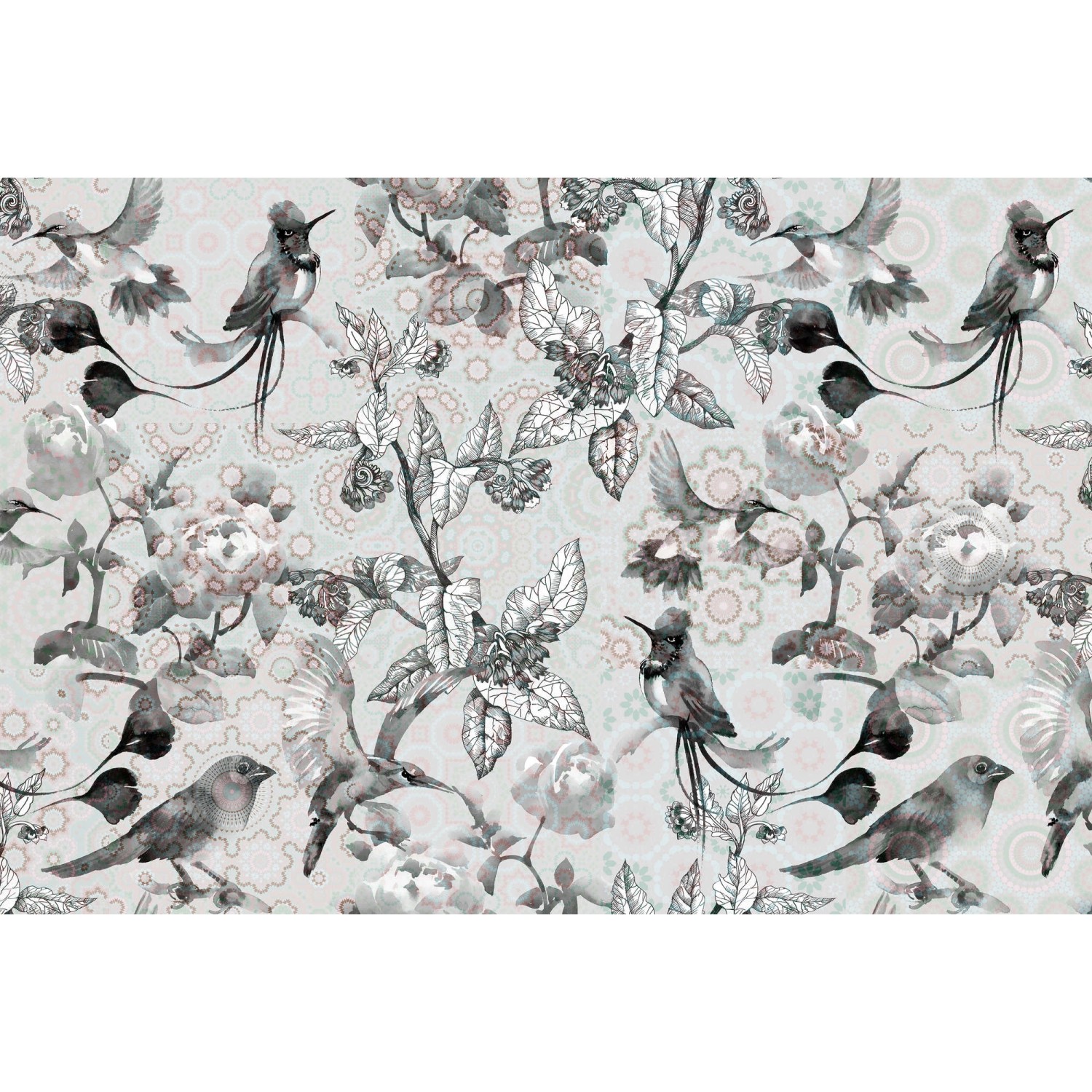 Fototapete Blumen Vögel Grafik Grau Grün 4,00 m x 2,70 m FSC® Fototapete Blumen Vögel Grafik Grau Grün 4,00 m x 2,70 m FSC® von -