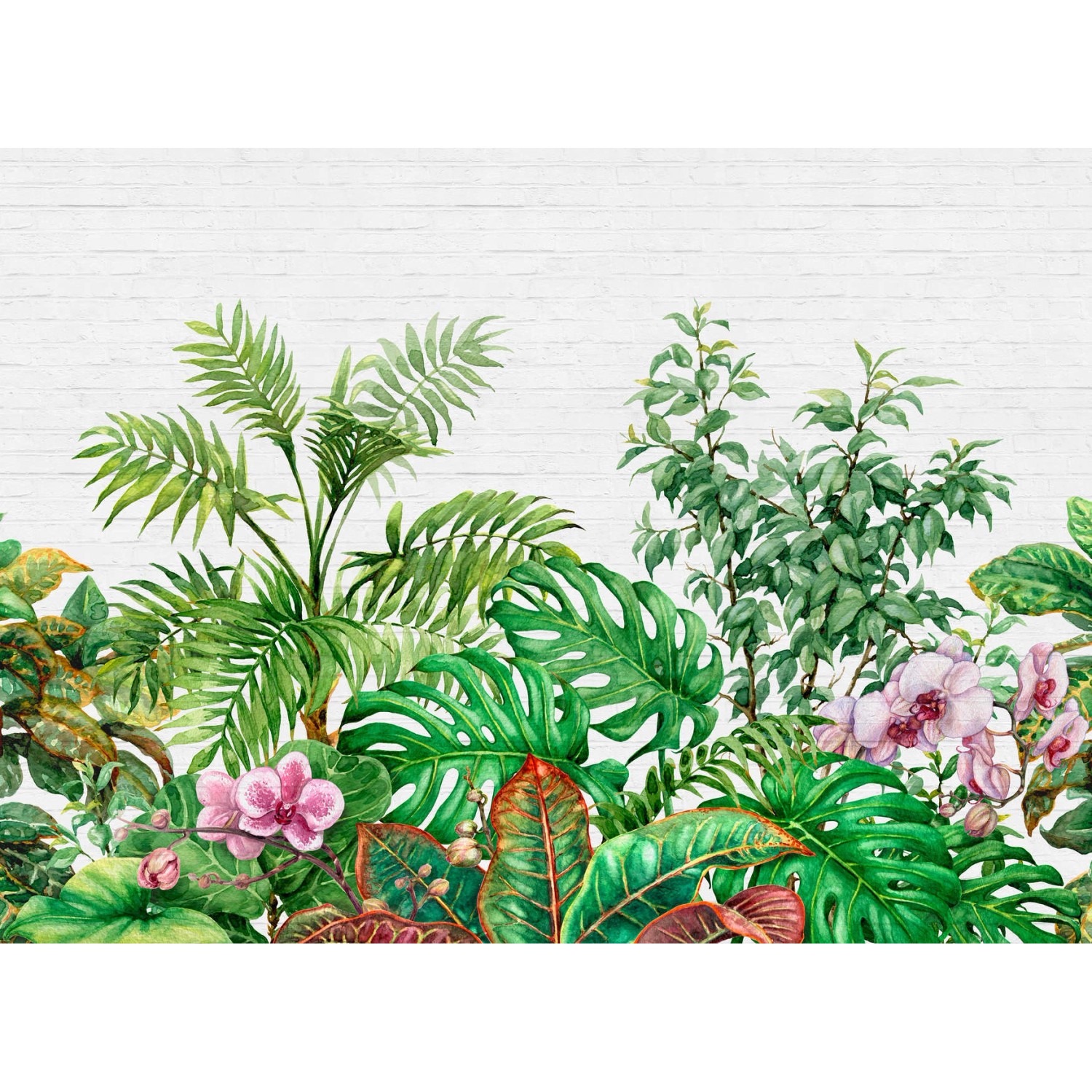 Fototapete Dschungel Palmen Steinwand Grün Weiß 3,50 m x 2,55 m FSC® von -