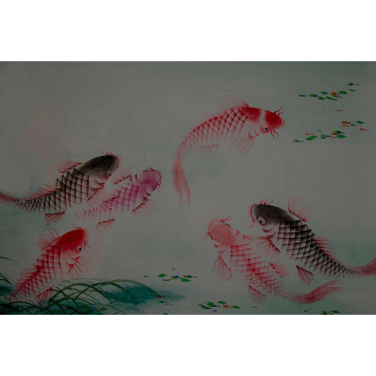 Fototapete Fische Koi Karpfen Rot Rosa Grün Grau 4,00 m x 2,70 m FSC® von -