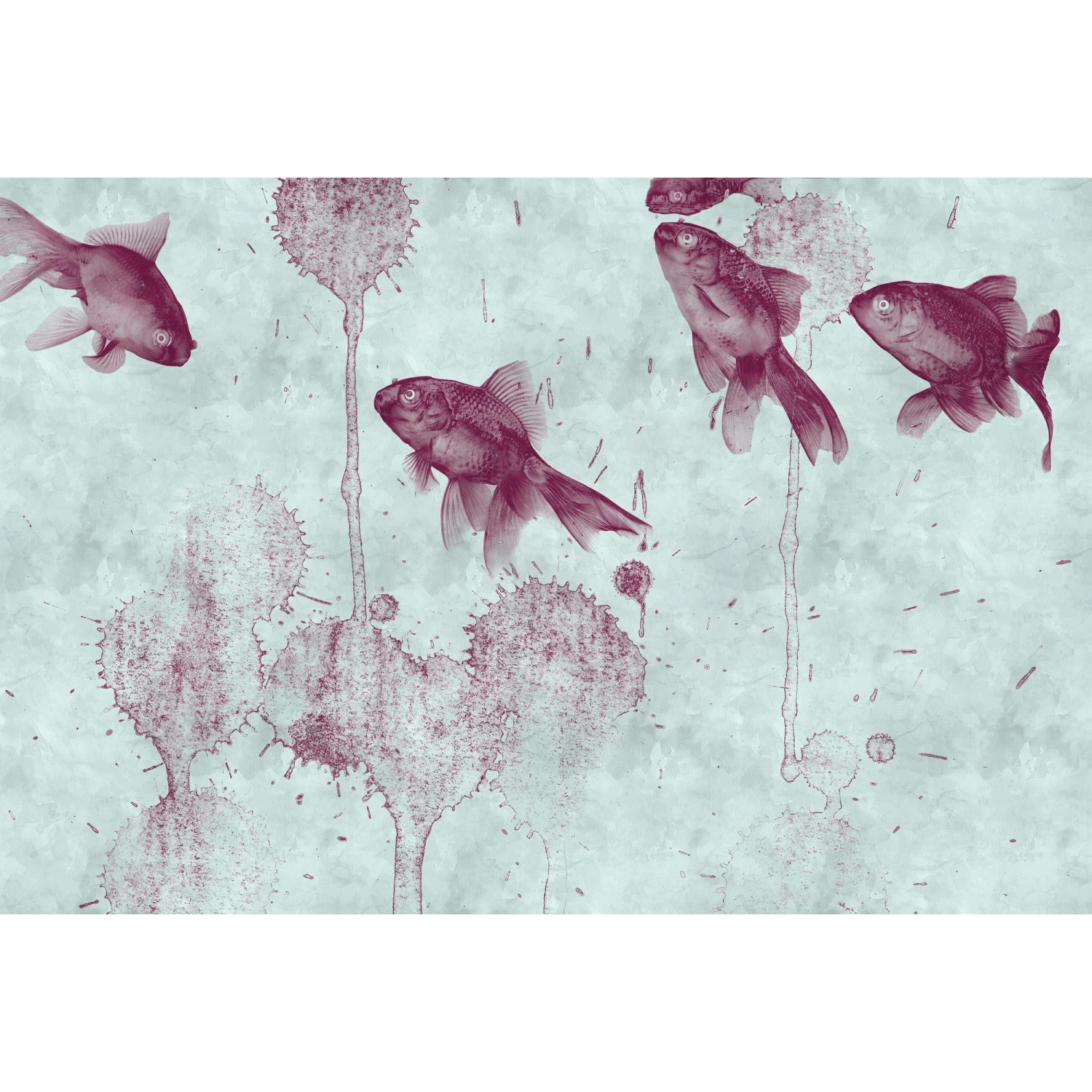 Fototapete Fische Teich Grau Rot 4,00 m x 2,70 m FSC® von -