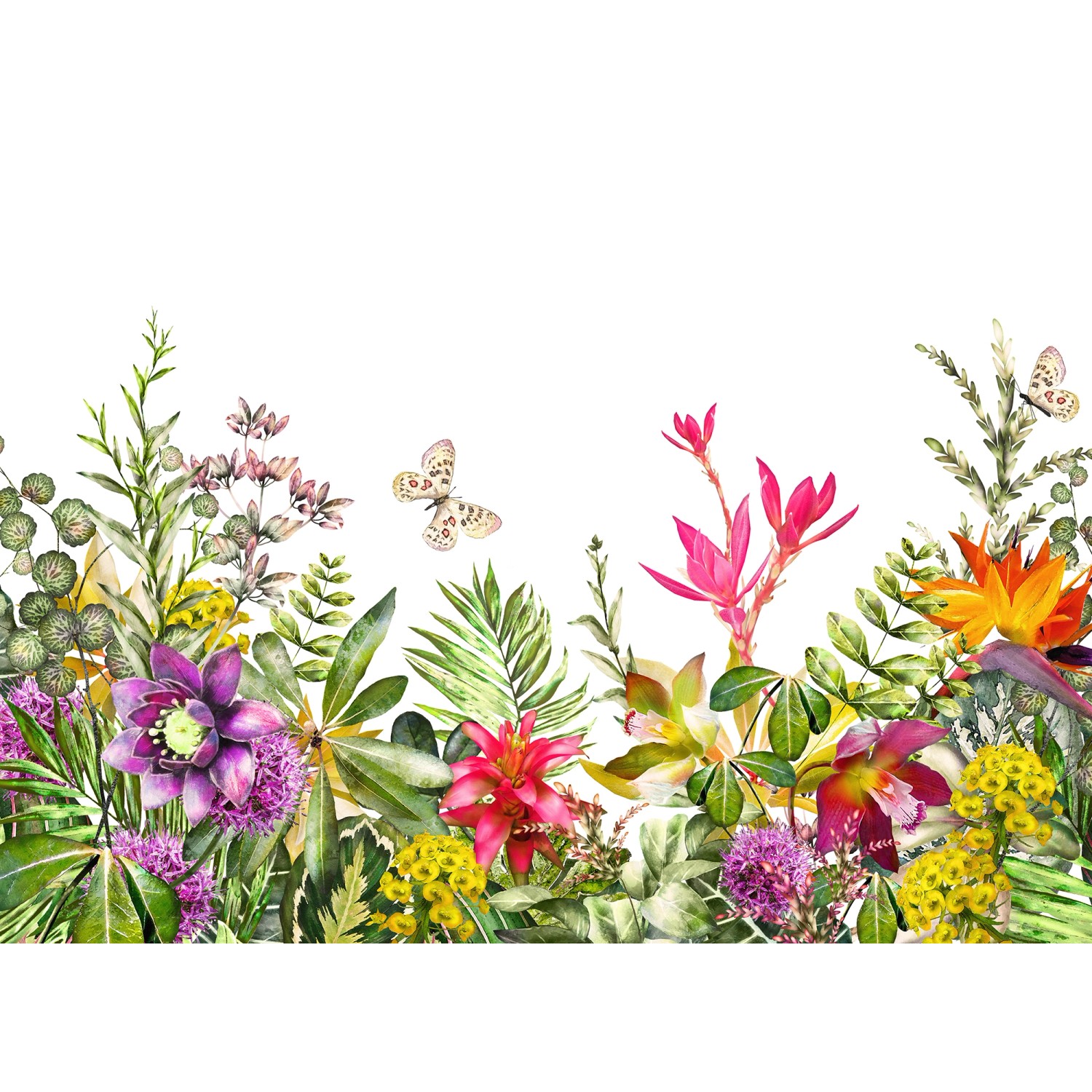 Fototapete Floral Blumen Schmetterling Bunt Weiß 3,50 m x 2,55 m FSC® von -