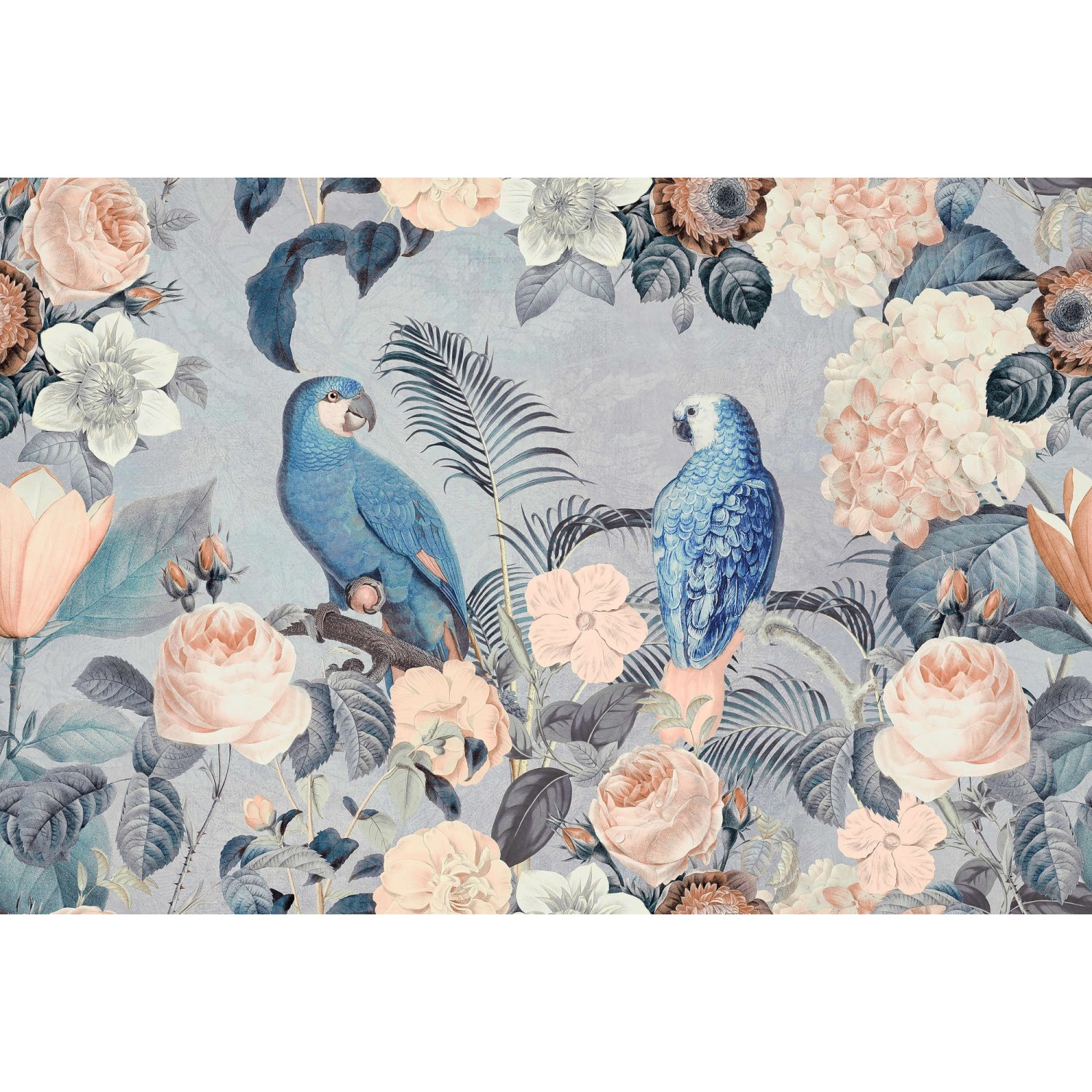 Fototapete Floral Blumen Vögel Grau Weiß Blau 4,00 m x 2,70 m FSC® von -