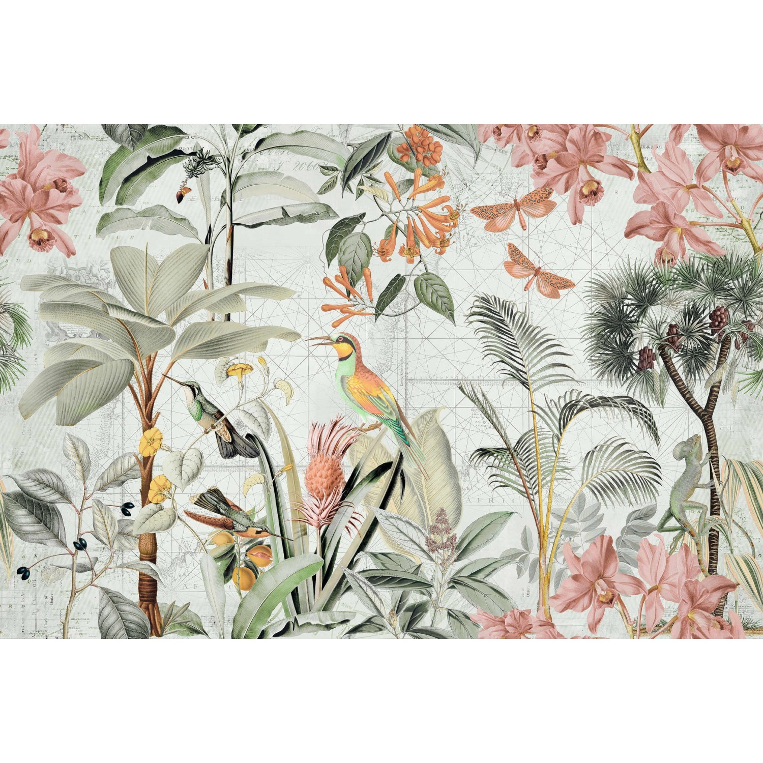 Fototapete Floral Blumen Vögel Weiß Beige Grün 4,00 m x 2,70 m FSC® Fototapete Floral Blumen Vögel Weiß Beige Grün 4,00 m x 2,70 m FSC® von -