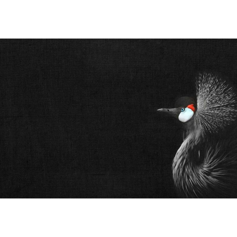 Fototapete Kranich Schwarz Rot Blau 4,00 m x 2,70 m FSC® von -