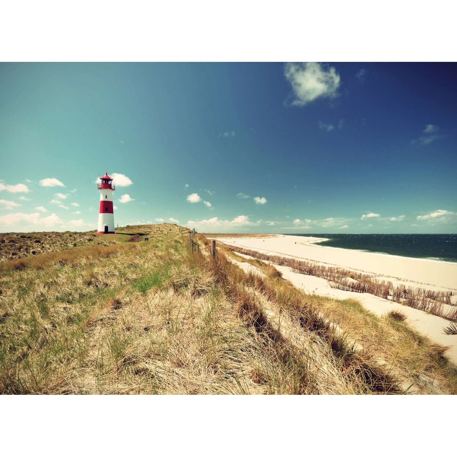 Fototapete Leuchtturm Strand Rot Weiß Grün 3,50 m x 2,55 m FSC® von -