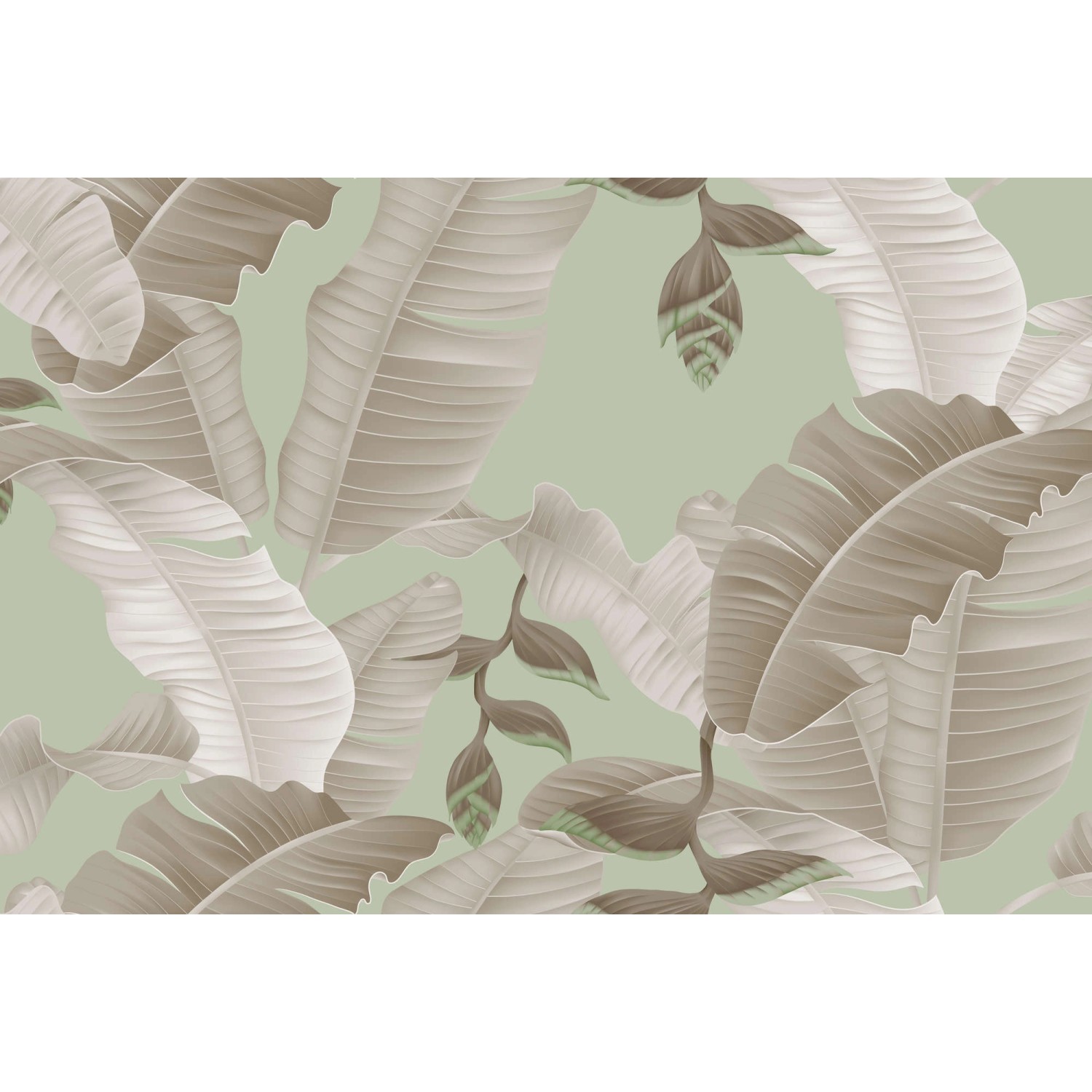 Fototapete Palmen-Blätter Grau Grün Grau 4,00 m x 2,70 m FSC® von -