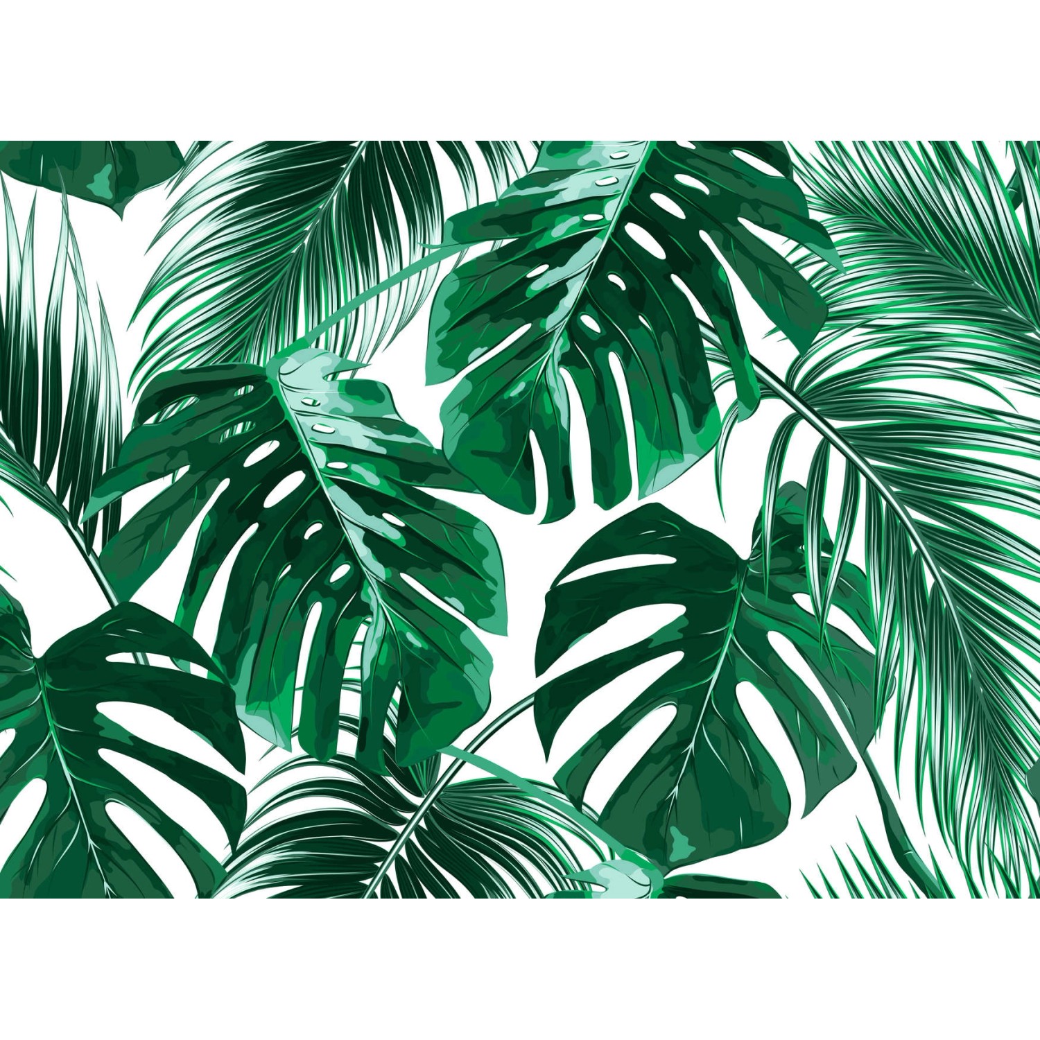 Fototapete Palmen Blätter Grün Weiß 3,50 m x 2,55 m FSC® von -