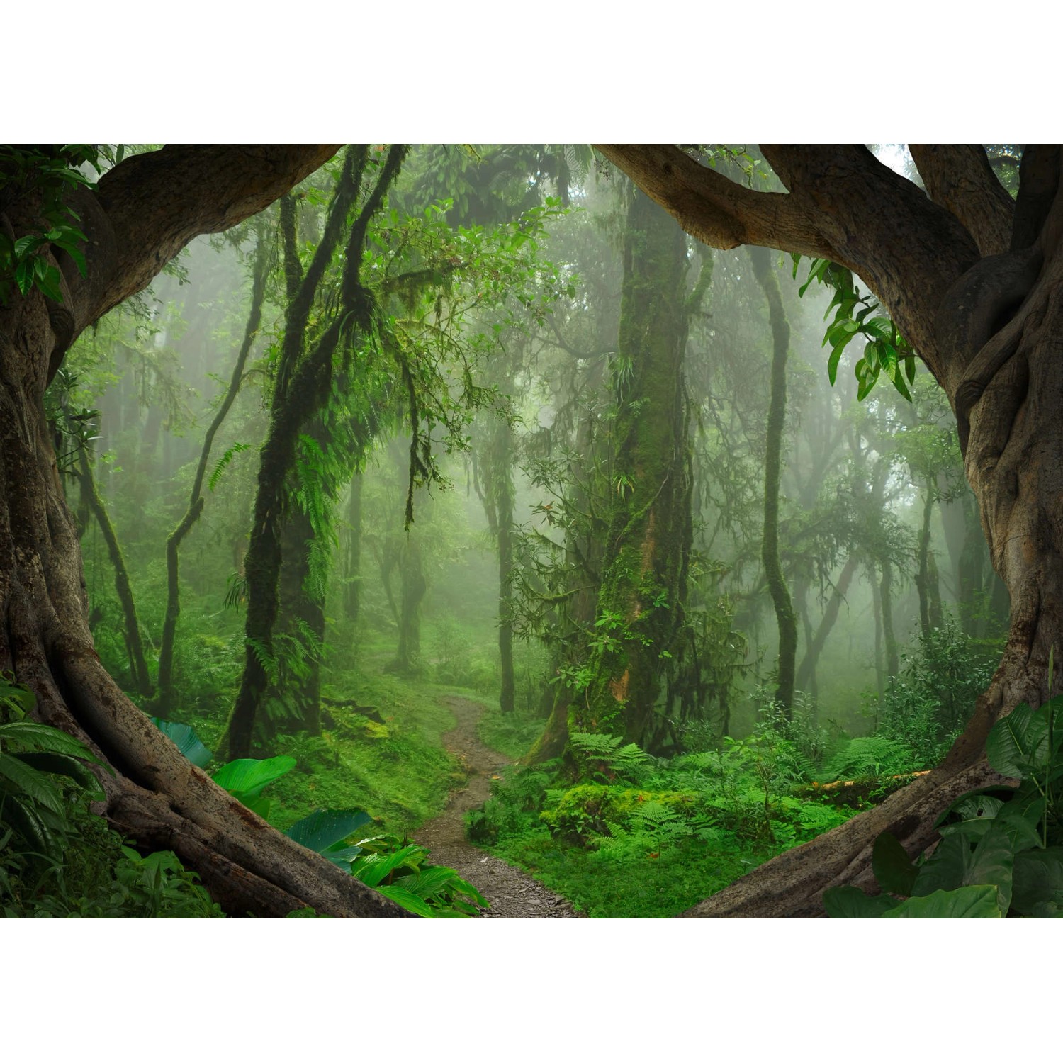 Fototapete Regenwald Dschungel Grün Braun 3,50 m x 2,55 m FSC® von -