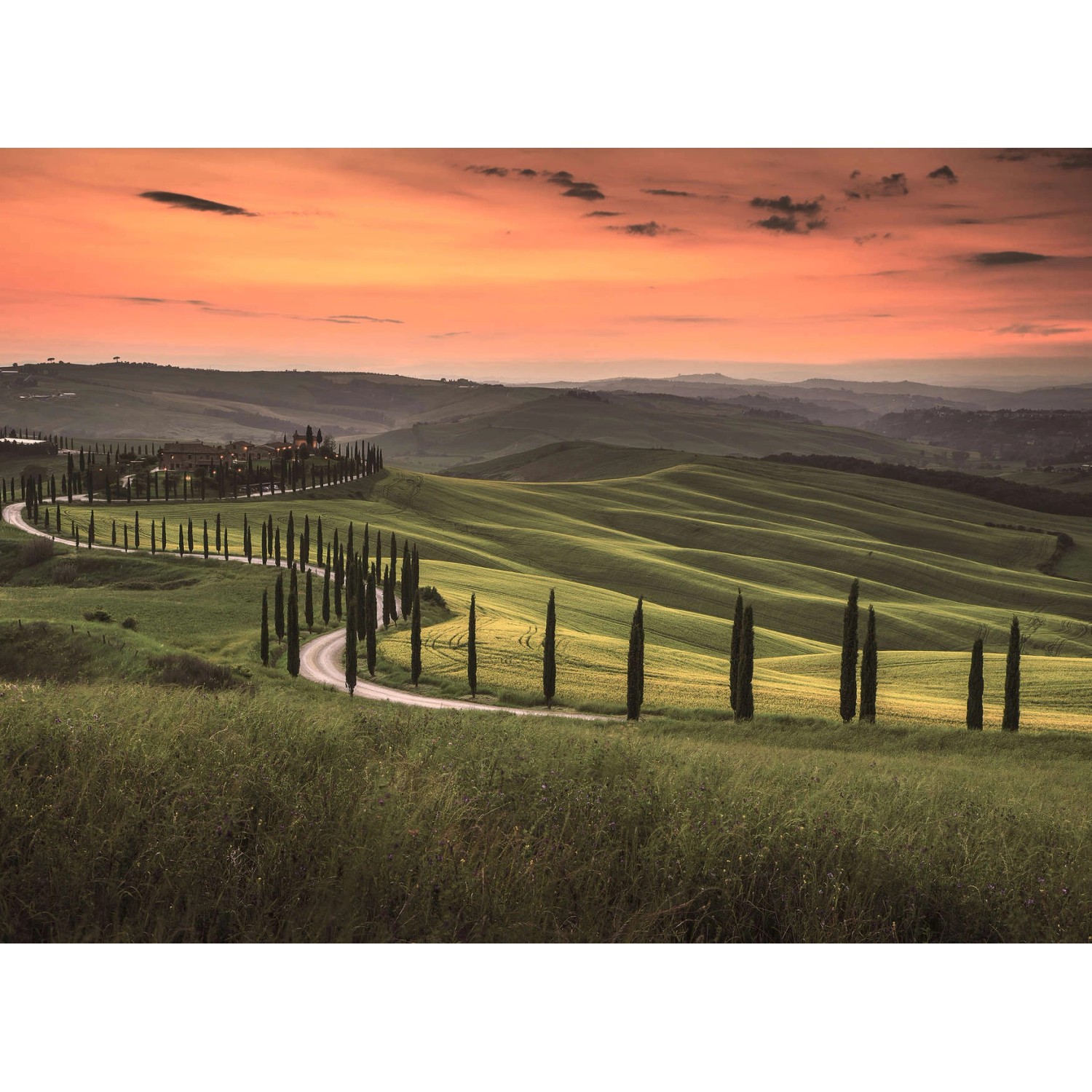 Fototapete Toskana Landschaft Grün Orange  3,50 m x 2,55 m FSC® von -