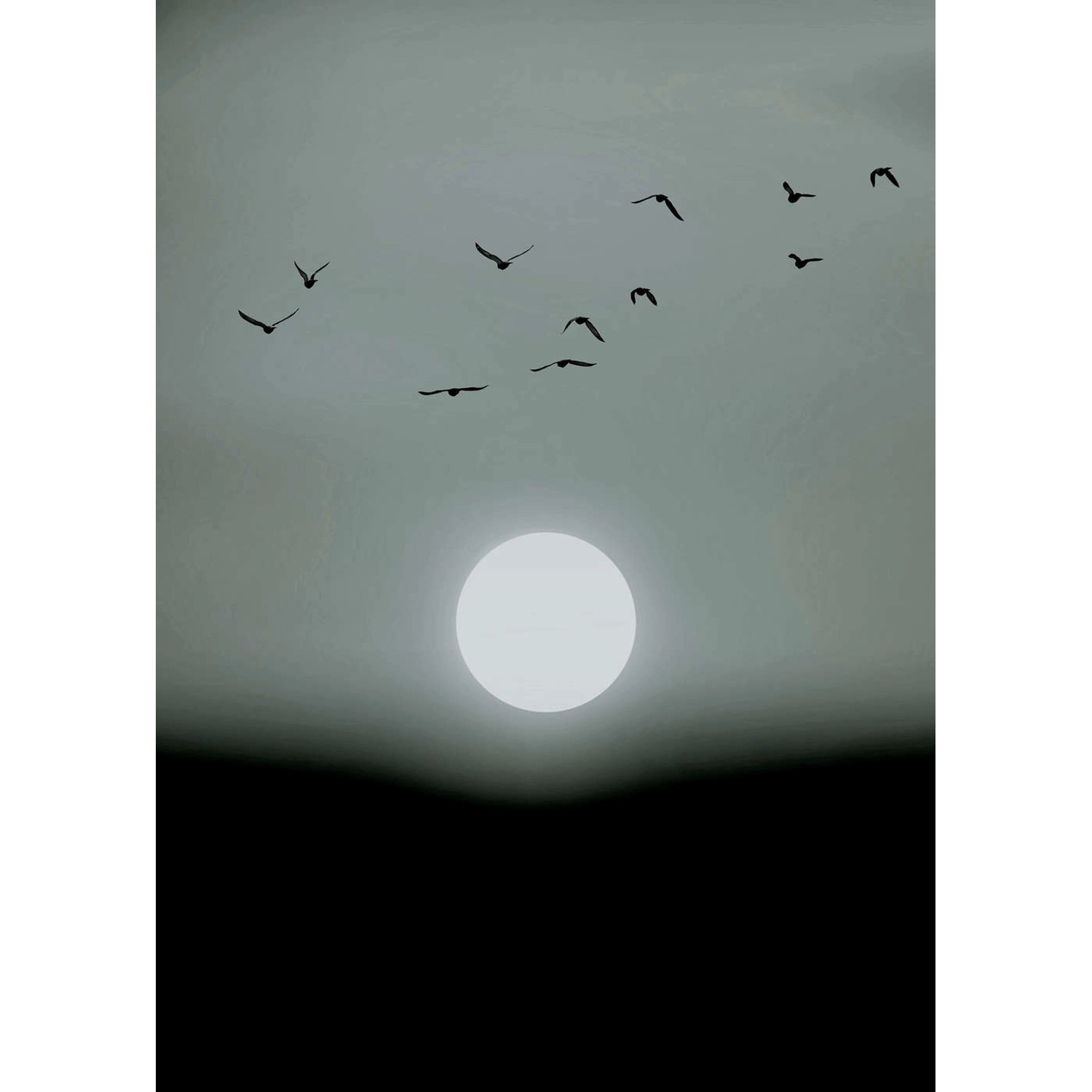 Fototapete Vögel Mond Nebel Weiß Grau Schwarz  2,00 m x 2,80 m FSC® von -
