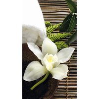 Wall-Art Vliestapete "asiatische Wellness Orchidee" von Wall-Art