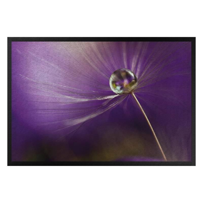 Fußmatte Pusteblume in Violett