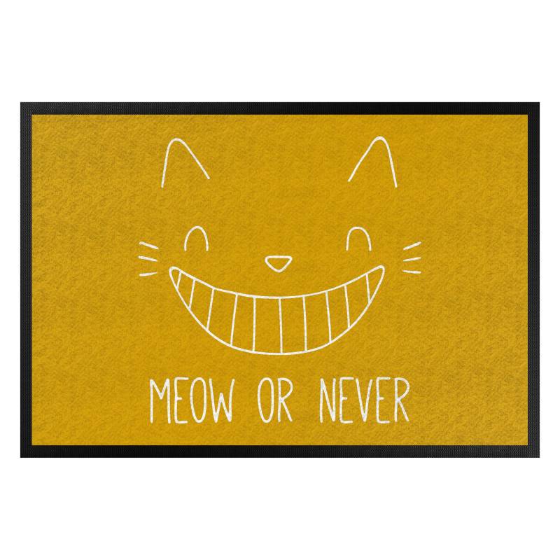 Fußmatte Meow or never