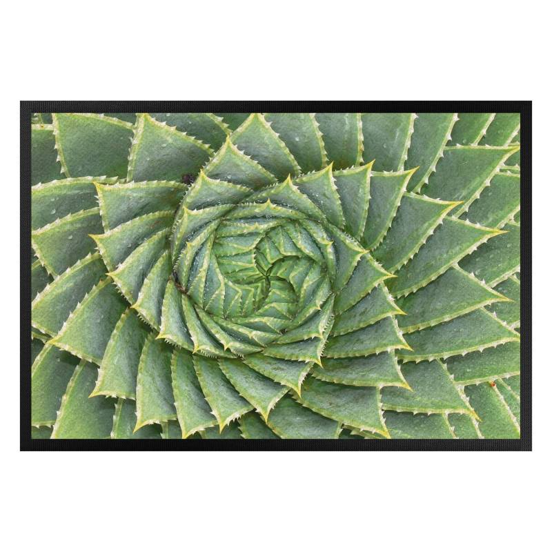 Fußmatte Spiral Aloe