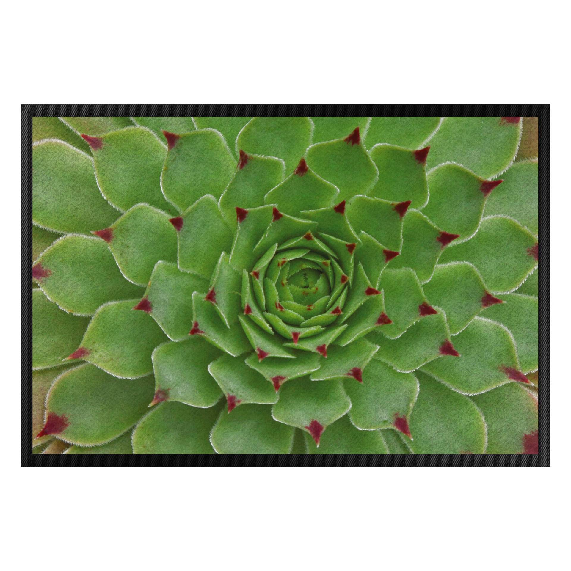 Fußmatte Succulent Pattern