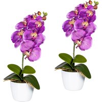 Creativ green Kunstpflanze "Orchidee Phalaenopsis" von Creativ Green