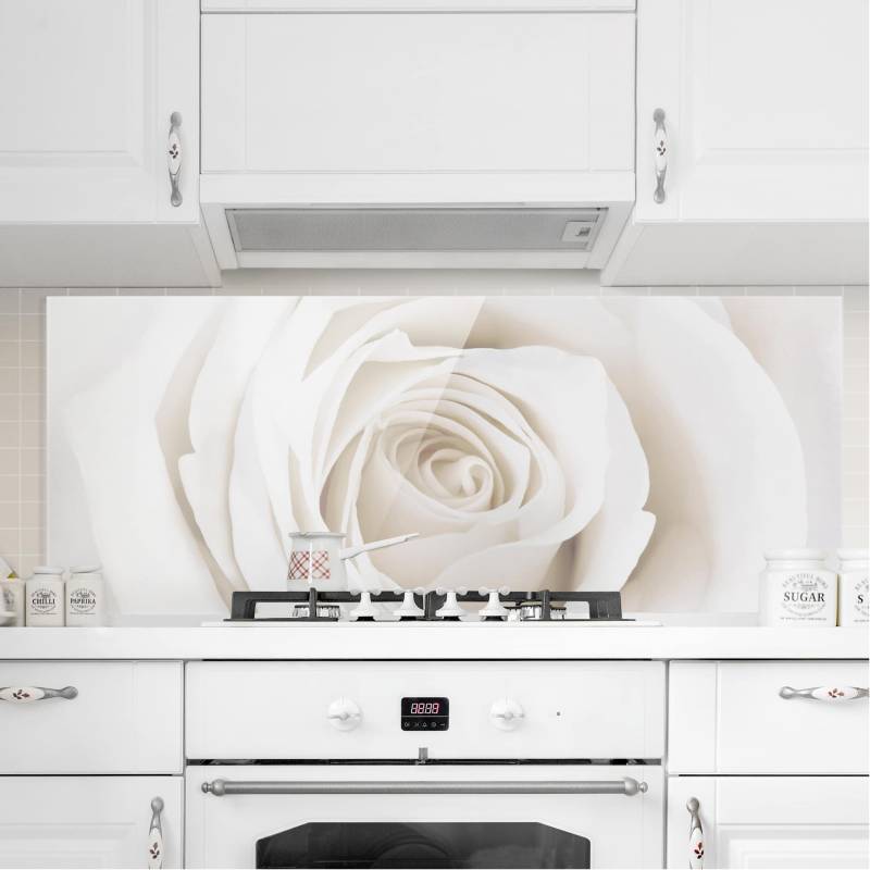 Glas Spritzschutz - Panorama Pretty White Rose