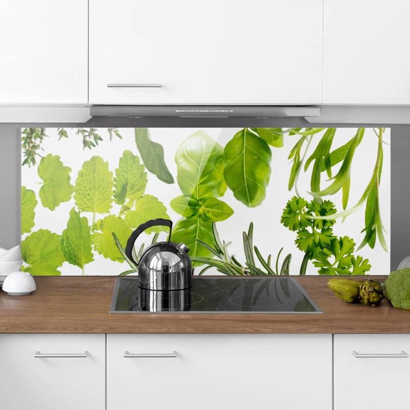 Glas Spritzschutz - Panorama Verschiedene Kräuter
