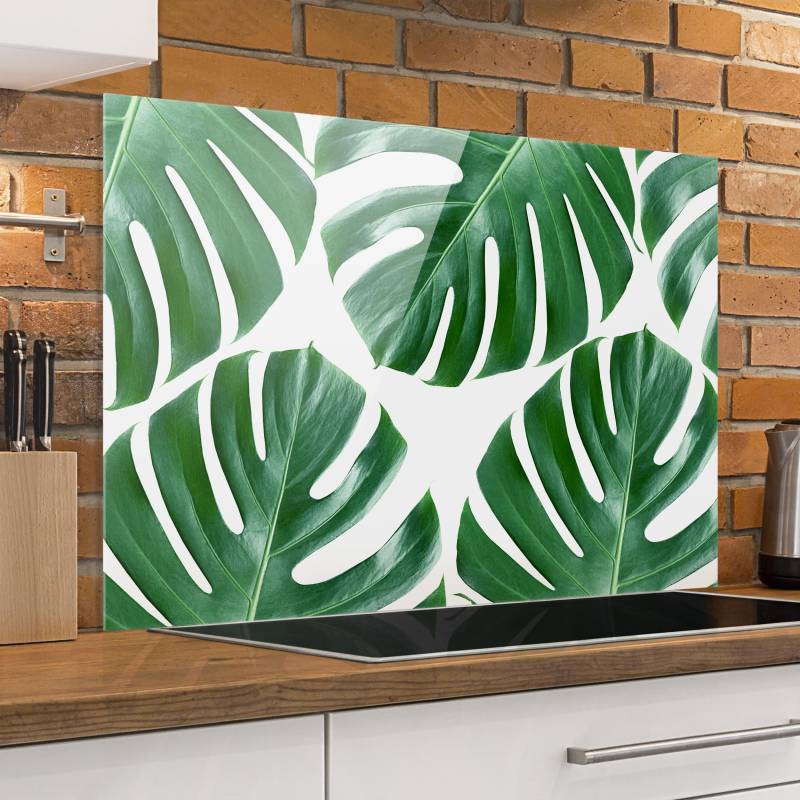 Glas Spritzschutz - Querformat 3:2 Tropische grüne Blätter Monstera