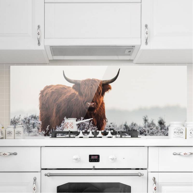 Glas Spritzschutz - Panorama Bison in den Highlands