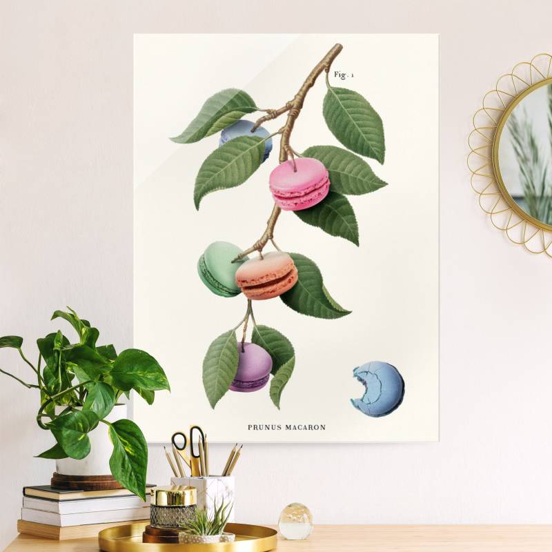 Glasbild Vintage Pflanze - Macaron