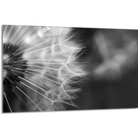 Glasherdschutzplatte 80x52 Blume Glasherdschutzplatte 80x52 Blume