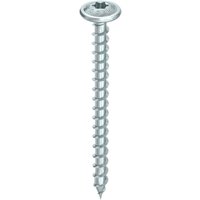 TOPIX-plus 8 x 100, Tellerkopf, T-Drive, vg, A3K, 50 St. - Heco von Heco