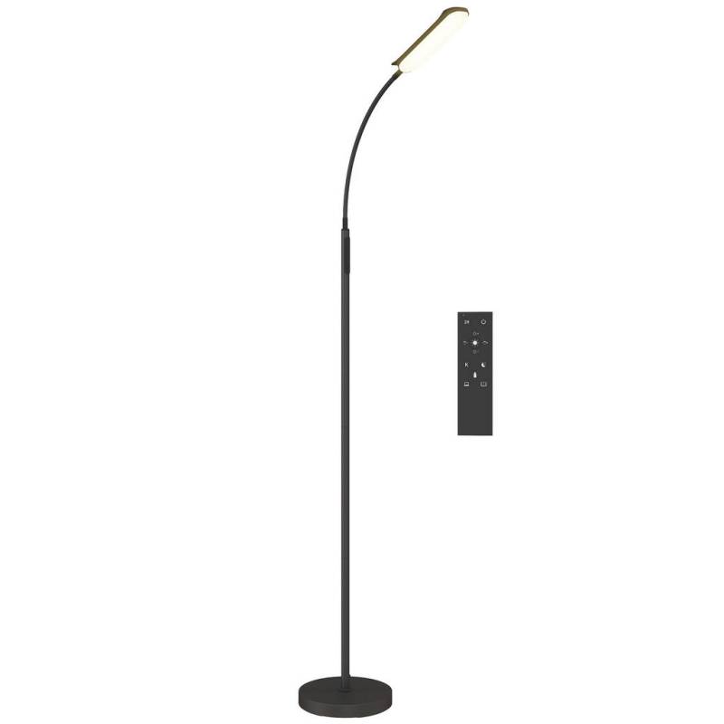 HOMCOM STEHLAMPE Schwarz