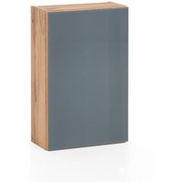 Hängeschrank 40 HELSINKI von Held Möbel Wotan Eiche / Glas grau