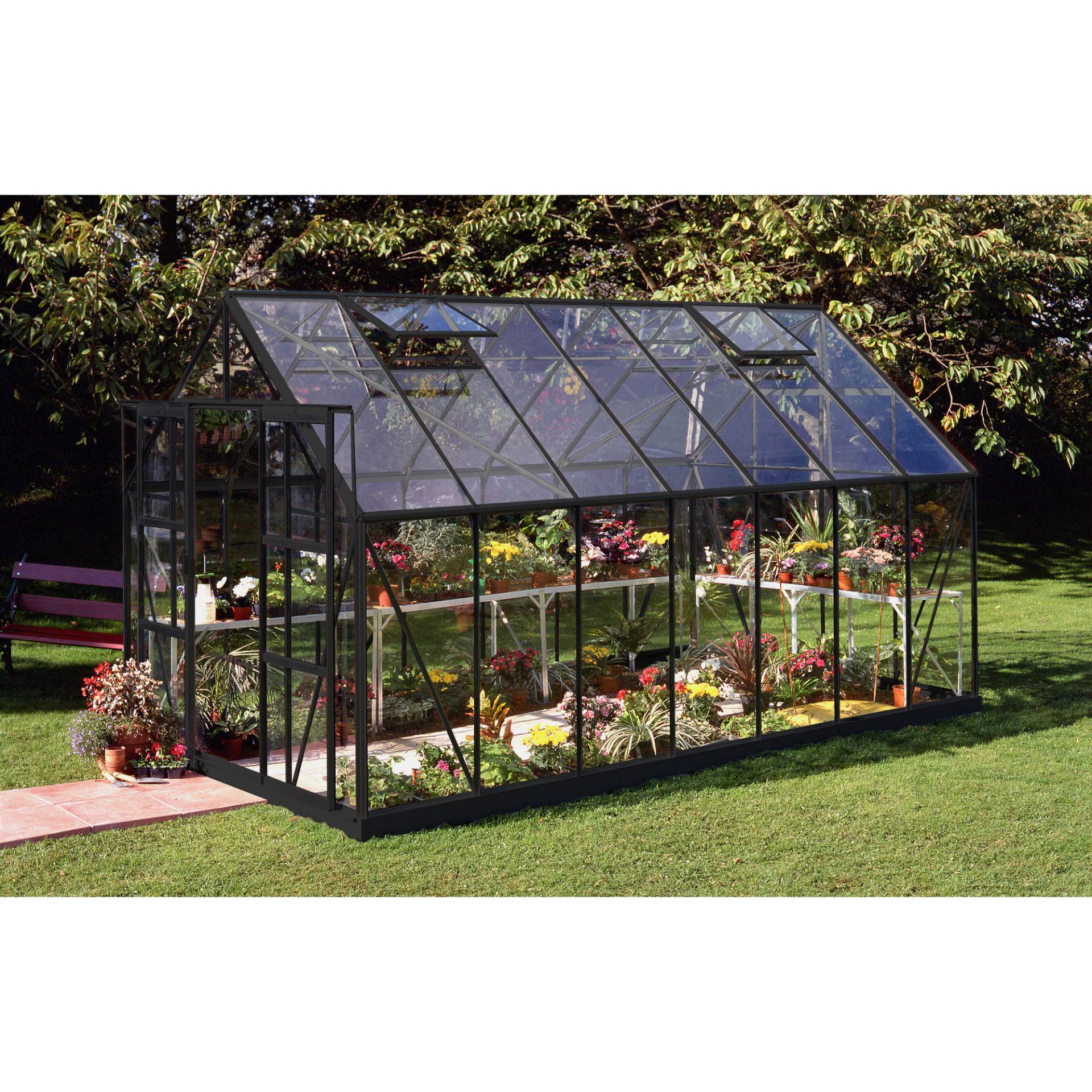 Halls Gewächshaus 'Magnum 148' 257 x 446 cm mit 3 mm Sicherheitsglas schwarz Halls Gewächshaus 'Magnum 148' 257 x 446 cm mit 3 mm Sicherheitsglas schwarz