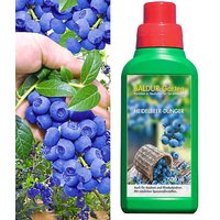 Heidelbeere 'Reka® Blue' & Dünger