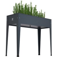 Herstera Garden Hochbeet Urban anthrazit Metall B/H/L: ca. 40x84x100 cm von Herstera Garden