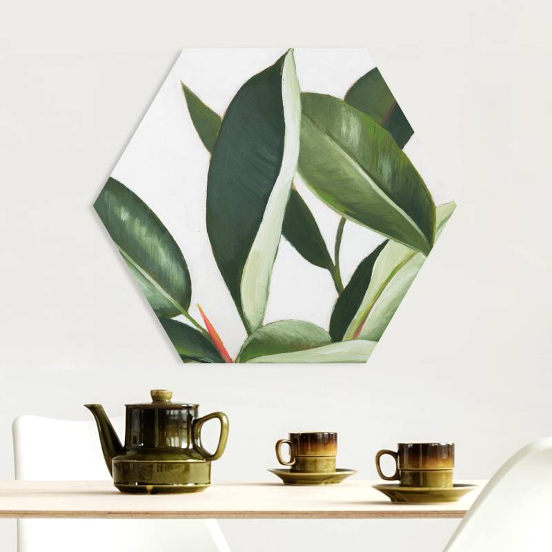 Hexagon-Forexbild Lieblingspflanzen - Gummibaum
