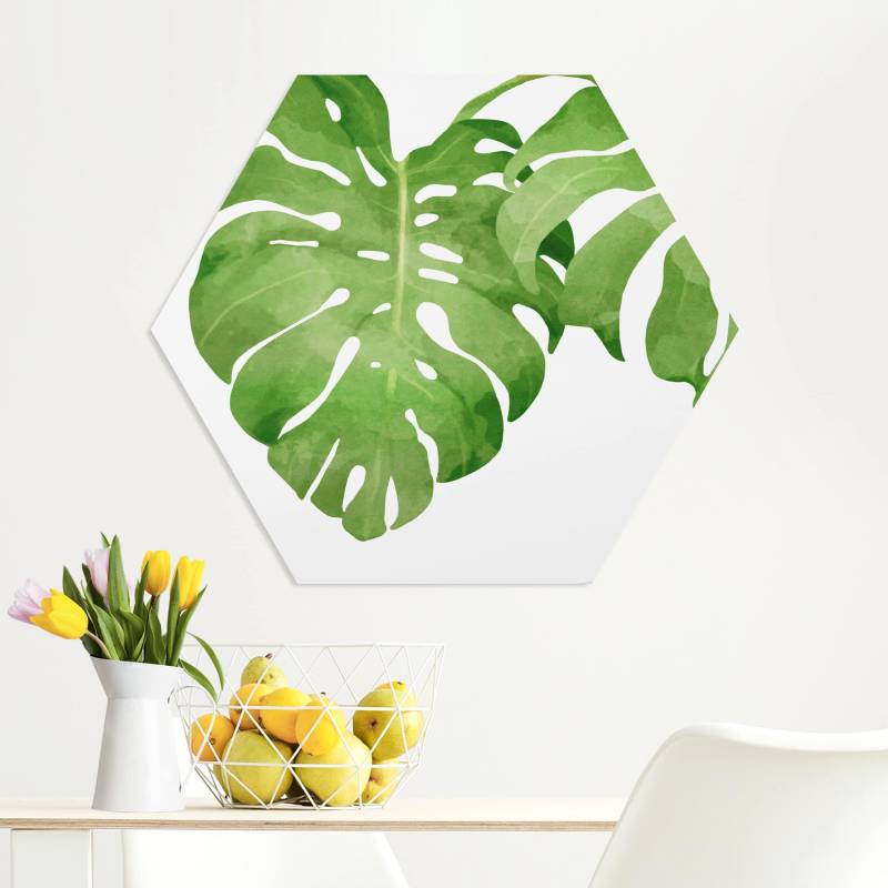 Hexagon-Forexbild Monstera Aquarell I