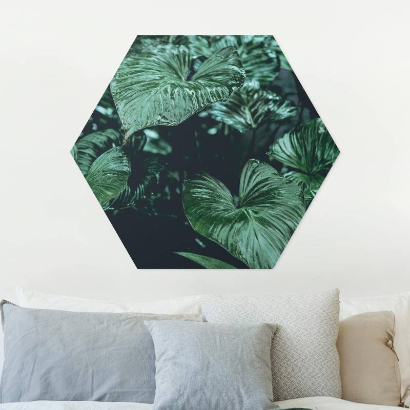 Hexagon-Forexbild Tropische Pflanzen I