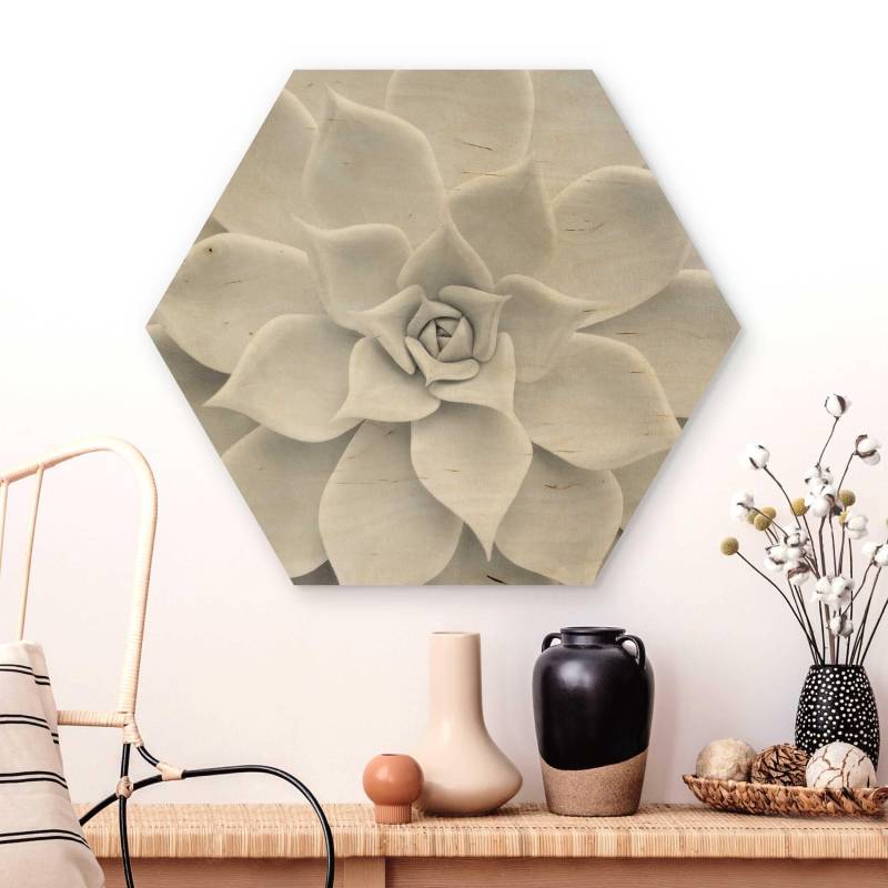 Hexagon-Holzbild Kaktus Sukkulente