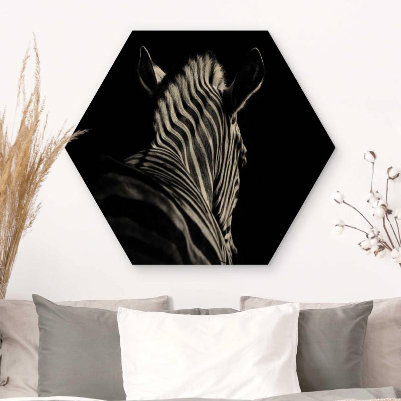 Hexagon-Holzbild Dunkle Zebra Silhouette