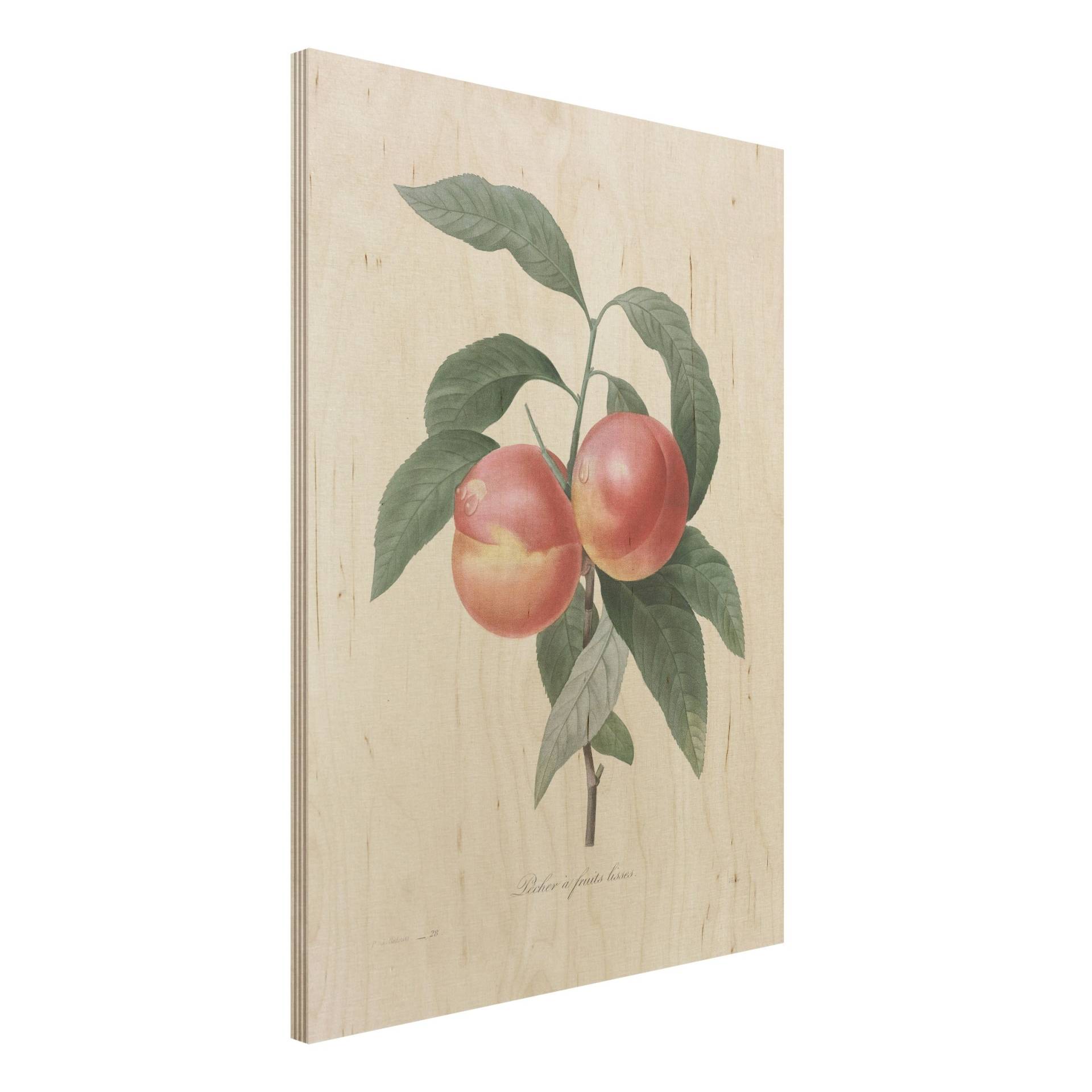 Holzbild - Hochformat 3:4 Botanik Vintage Illustration Pfirsich Holzbild - Hochformat 3:4 Botanik Vintage Illustration Pfirsich