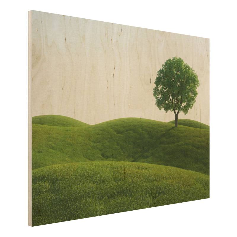 Holzbild Natur & Landschaft Grüne Ruhe