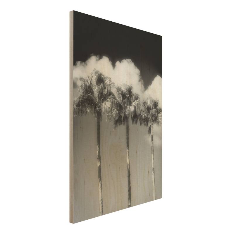 Holzbild - Hochformat 2:3 Palmen vor Himmel Schwarz-Weiß