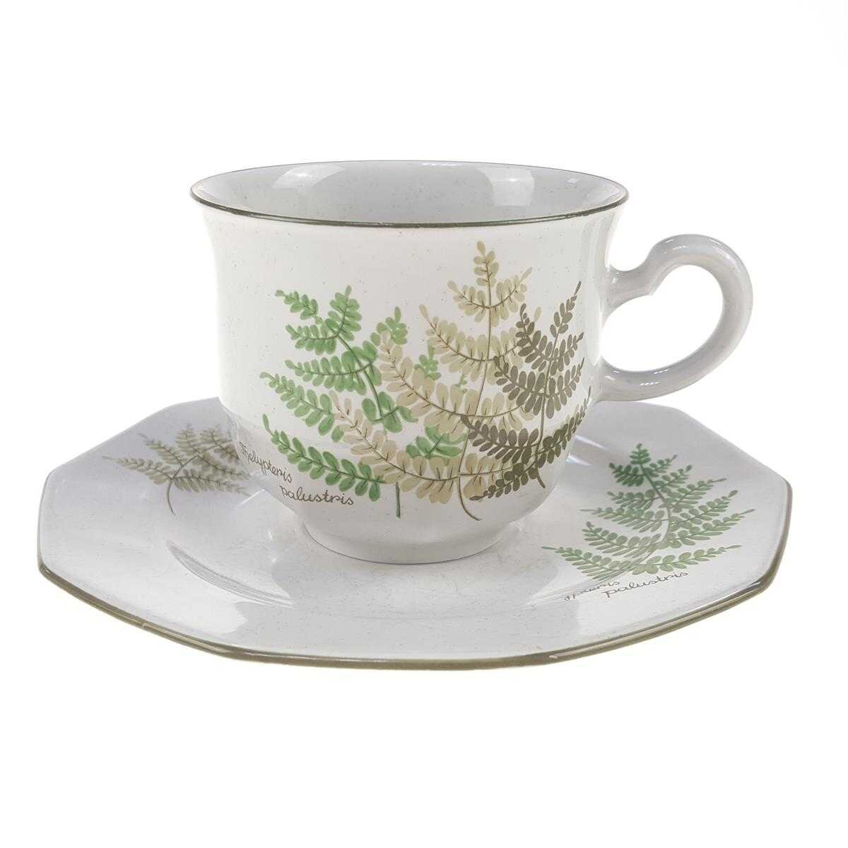 Kaffeetasse mit Untertasse & 2tlg Winterling Kirchenlamitz Farn Thelypteris palustris gebraucht - gut Kaffeetasse mit Untertasse & 2tlg Winterling Kirchenlamitz Farn Thelypteris palustris gebraucht - gut