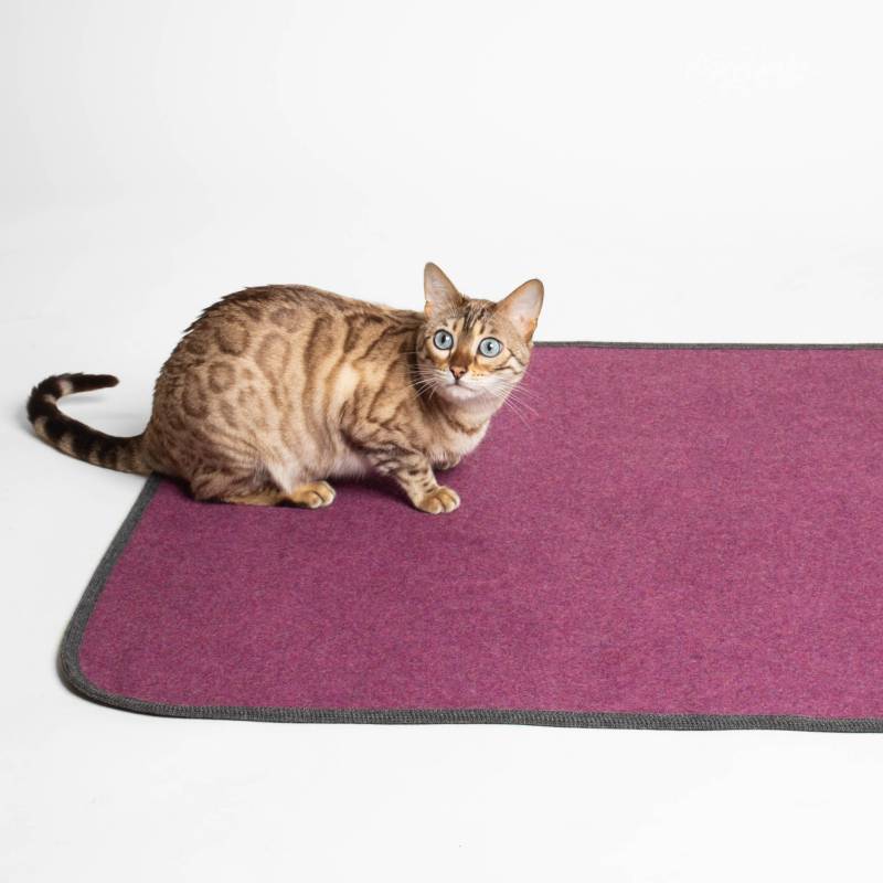 Katzendecke | 100% Schurwolle