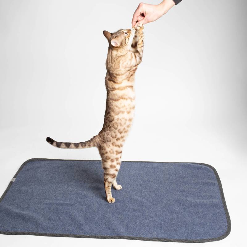 Katzendecke | 100% Schurwolle