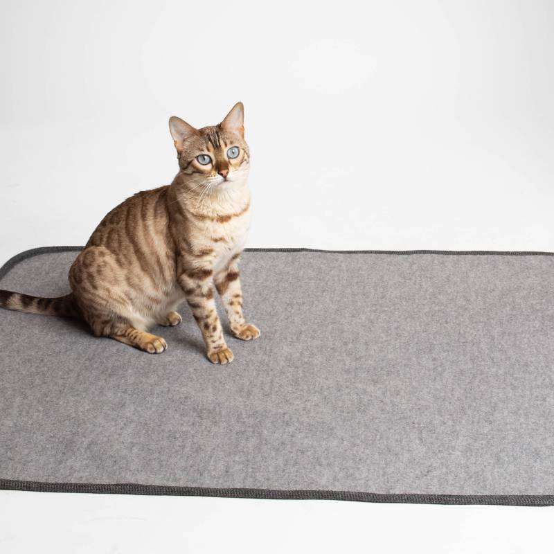 Katzendecke | 100% Schurwolle