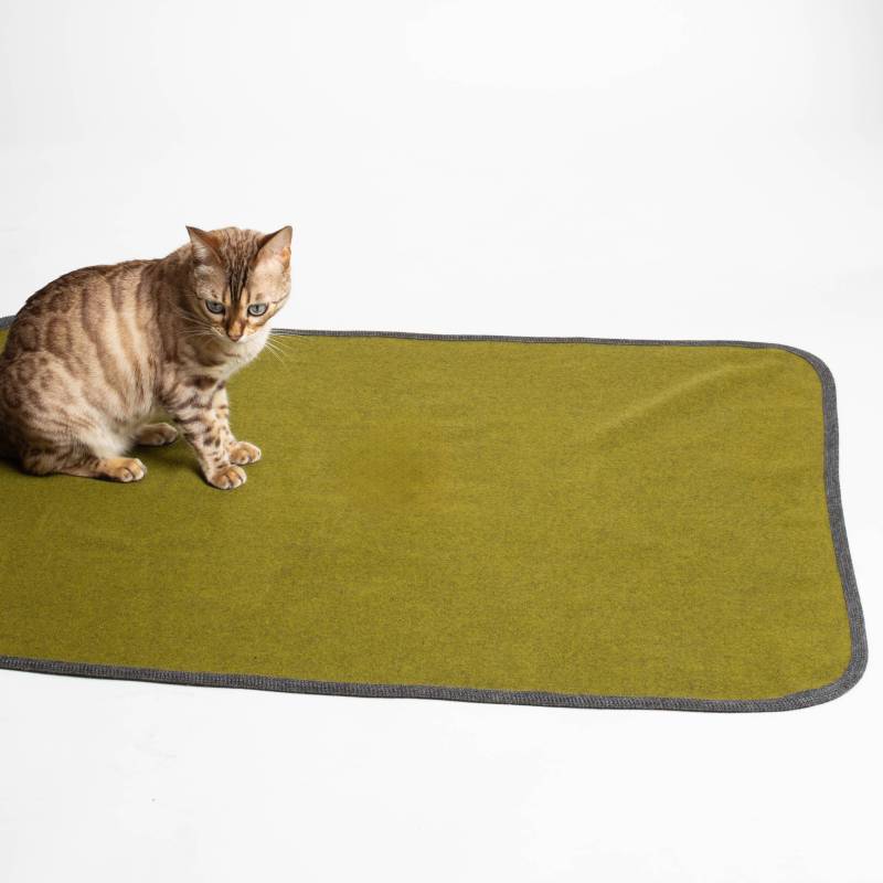 Katzendecke | 100% Schurwolle