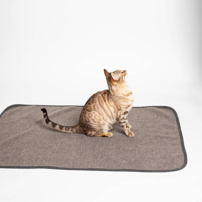 Katzendecke | 100% Schurwolle