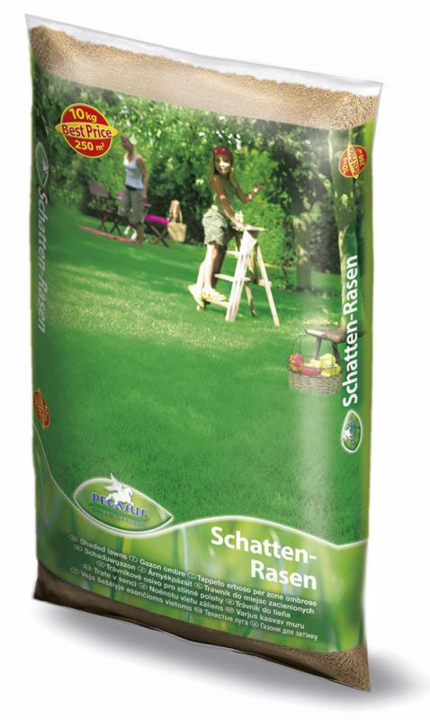 Kiepenkerl Rasen Pegasus Schatten- 10kg - 622227 von Kiepenkerl