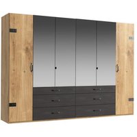 Kleiderschrank Industrial Look 6trg mit 4 Spiegel DETROIT von FRESHTOGO braun Kleiderschrank Industrial Look 6trg mit 4 Spiegel DETROIT von FRESHTOGO braun