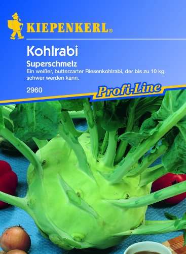 Kohlrabi (Riesen-kohlrabi) 'Superschmelz'