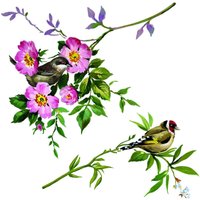 Komar Fenstersticker Spring Fever Vögel Spring Fever B/L: ca. 31x31 cm Komar Fenstersticker Spring Fever Vögel Spring Fever B/L: ca. 31x31 cm von Komar